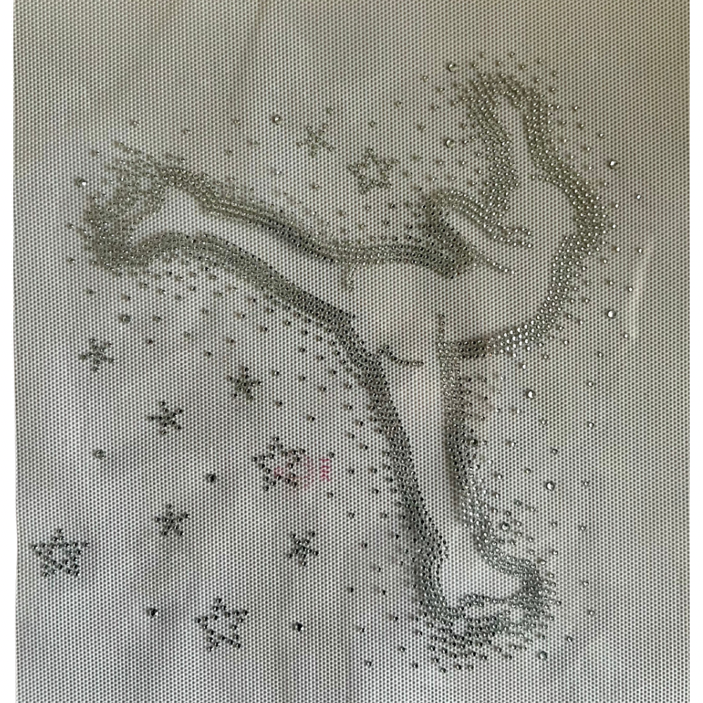 Strass - Starlight Skater