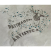 Strass - Patinagem Artística Shine