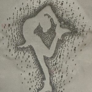 Transfer Premium em Cristal Austríaco – Patinadora Bielmann